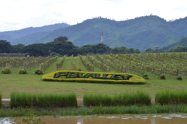 One day trip to PB Valley Khaoyai Winery