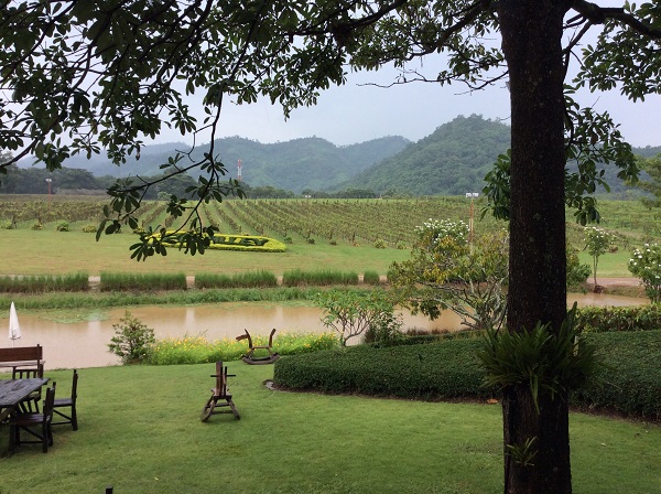 One day trip to PB Valley Khaoyai Winery