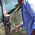 The art of krill fishing in Prasae