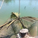 The art of krill fishing in Prasae