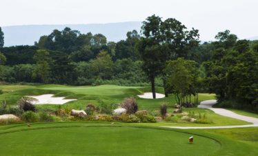 7 Day Lite Golf Tuition