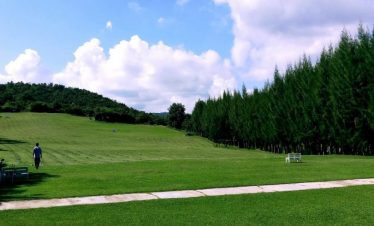 7 Day Standard Golf Tuition