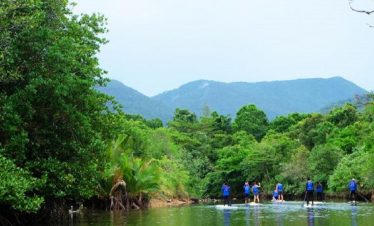Stand Up Paddle Board - 1 hour