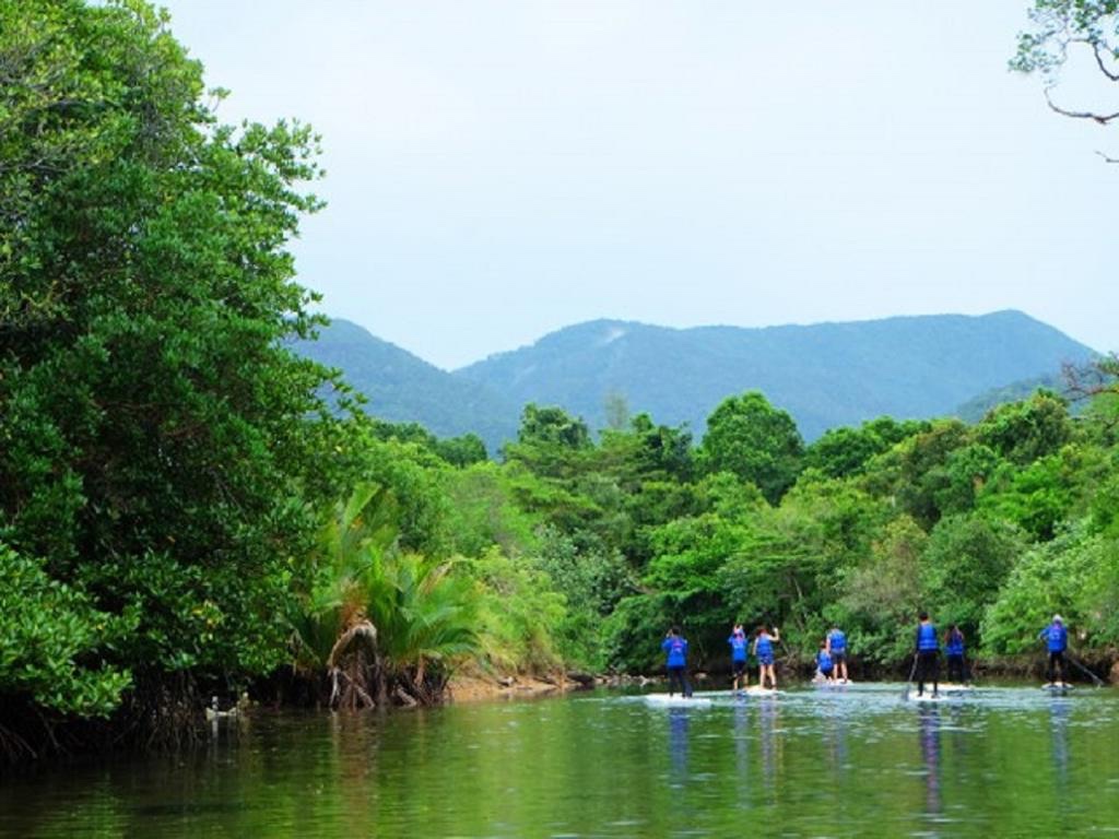 Stand Up Paddle Board - 1 hour