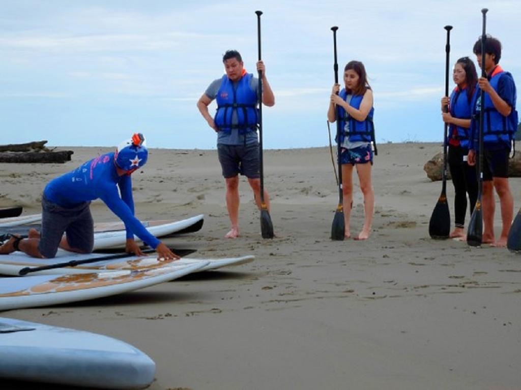 Stand Up Paddle Board - 1 hour