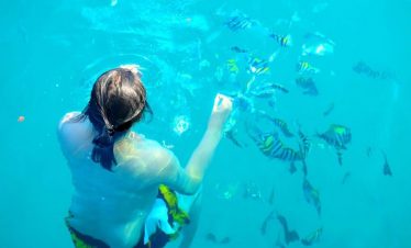 Snorkeling Day Trip: Wooden Boat Tour + Lunch - 4 Islands