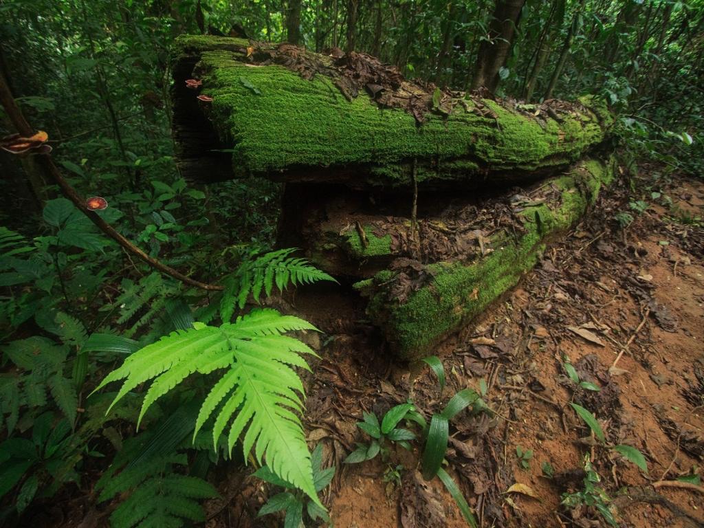 Khao Lak Off Road Safari