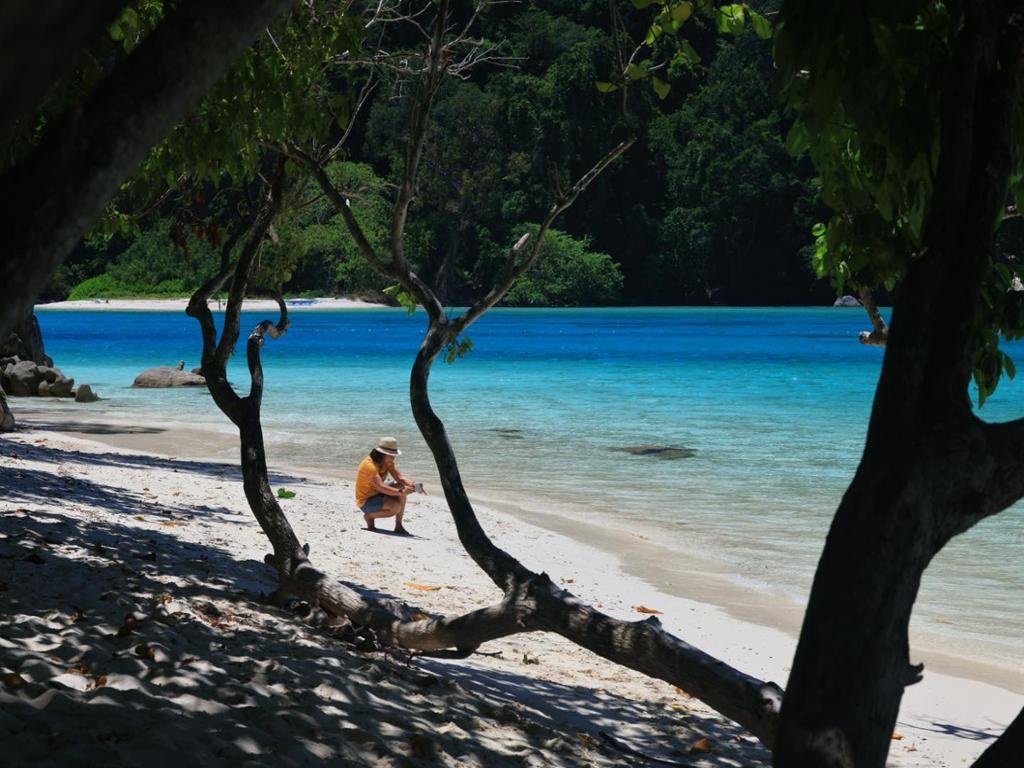 Similan Island by Love Andaman speed boat