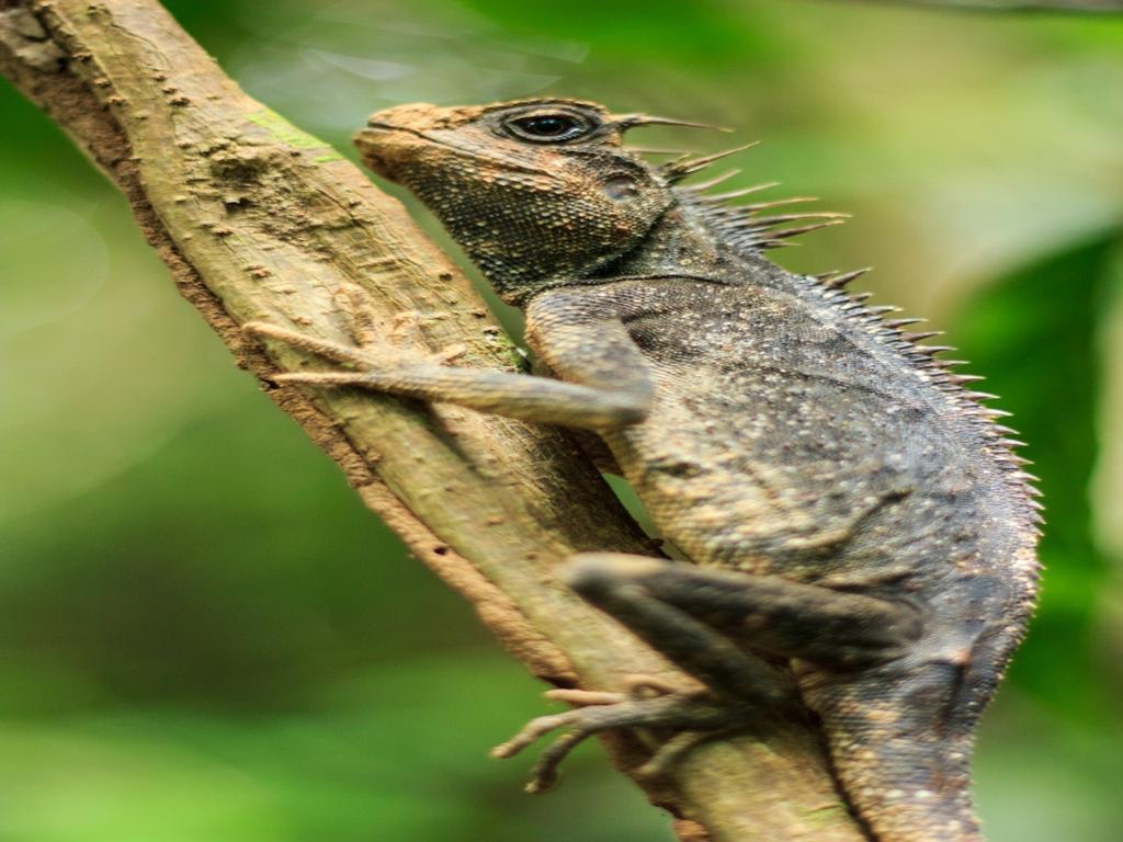 Khao Lak Off Road Safari