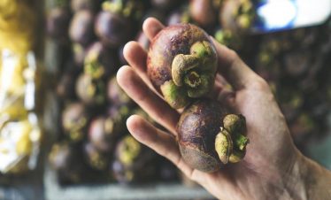 Bangkok Cycling Tour